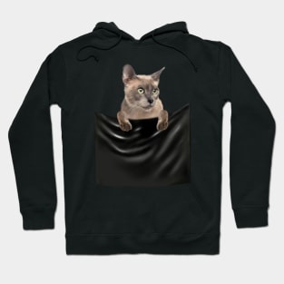 Tonkinese Cat inside Pocket, Cat Lover Hoodie